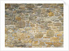 Brickwall by Assaf Frank
